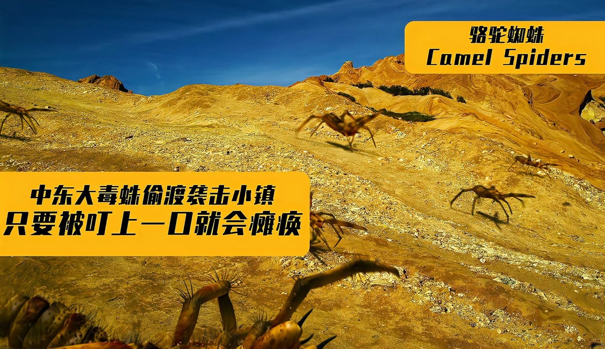 混乱小镇怎么样混沌小镇的公交车之旅