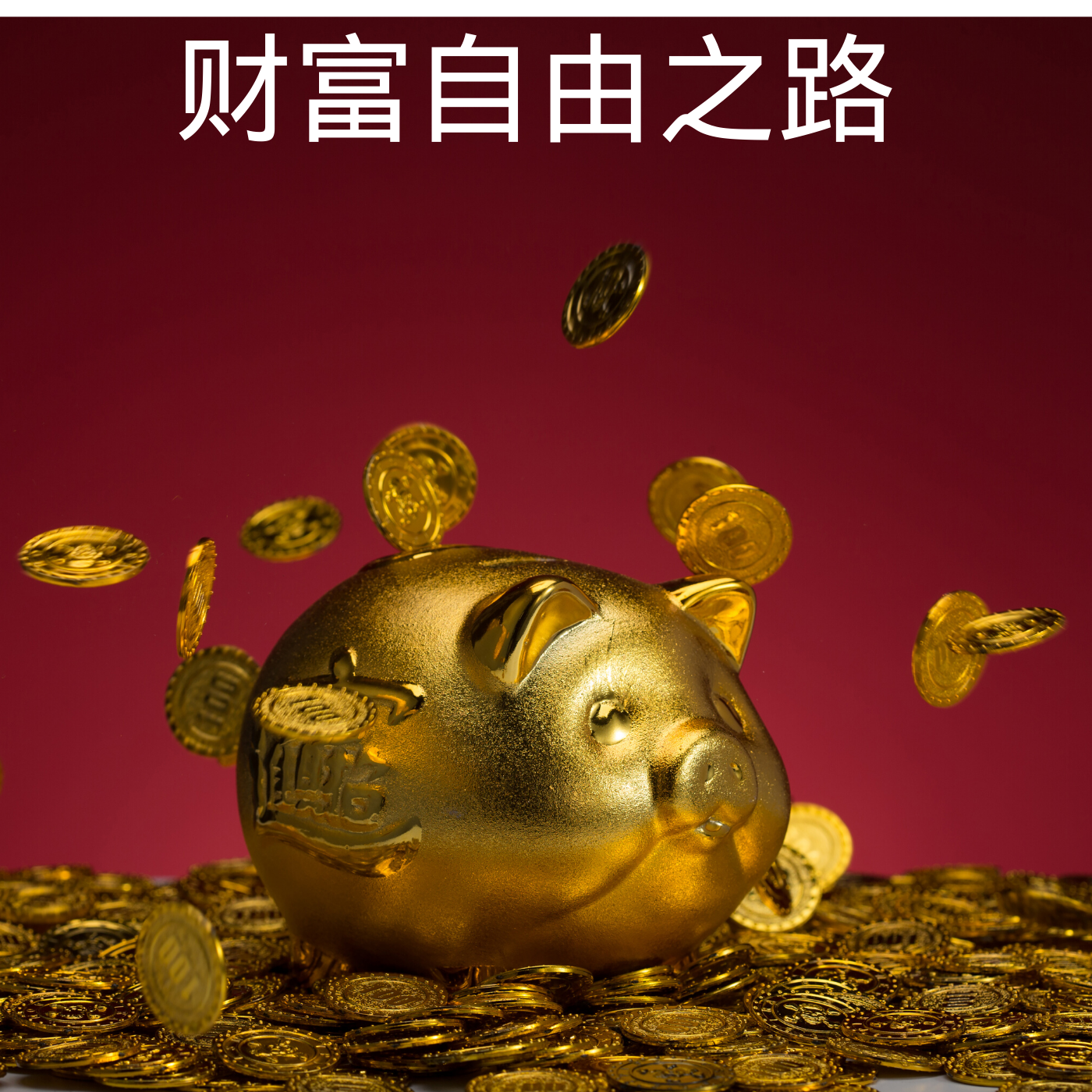 创富心水论坛，探索财富之路的智慧之窗