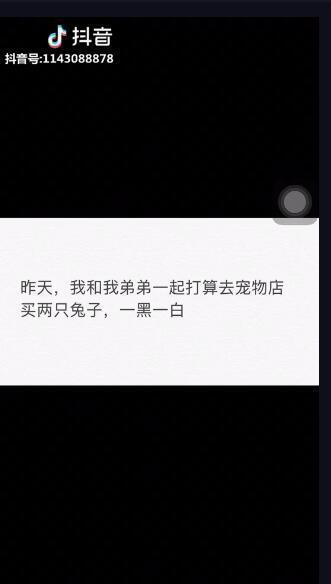 老师两个大兔子抖来抖去视频