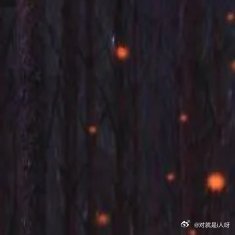 冰霜富家子