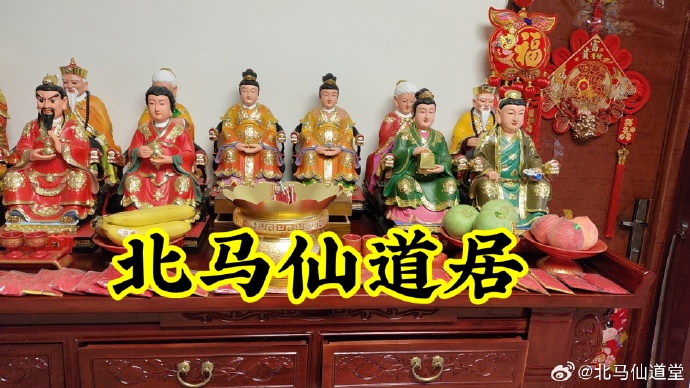 今日出马结果
