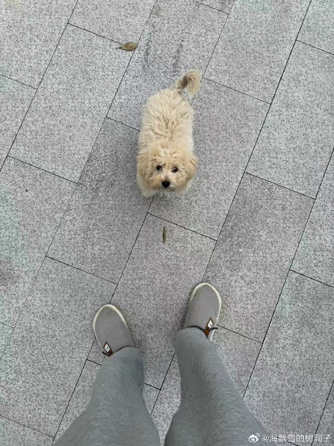 喷水瑶是什么梗喷水瑶，网络热梗背后的神秘文化现象
