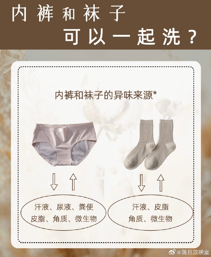 内裤教师下载内裤教师，教育的独特视角-第2张图片