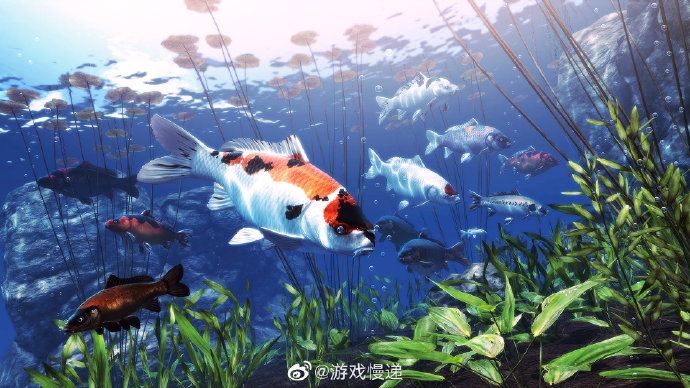 别墅轮换游戏五对情侣-第2张图片