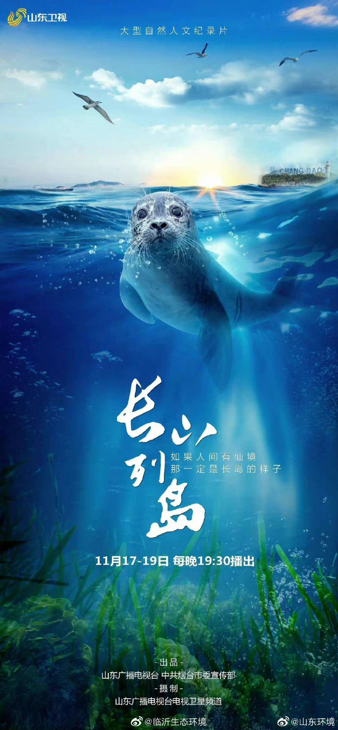 欧美视频热潮中的人与牛交，探索人与自然和谐共生的新篇章