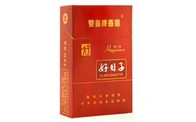好日子论坛好日子论坛，探索生活中的美好时刻