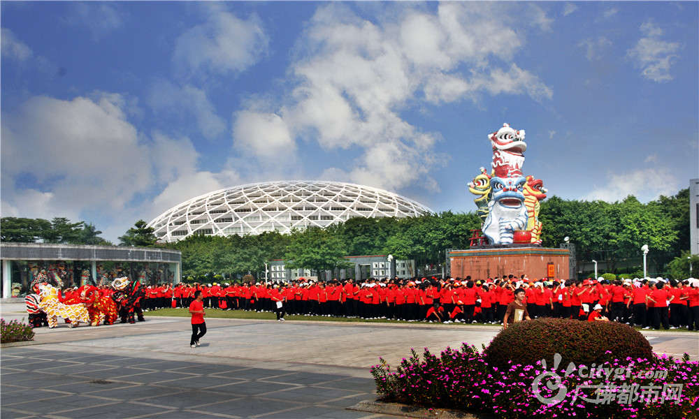 大红鹰娱乐89168澳门官方揭秘-第2张图片