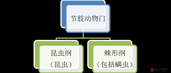 yw1139龙物视频在线观看龙物，神秘的yw.1139