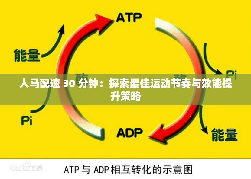 人马配速45分钟视频教程大全人马配速45分钟视频教程-第3张图片