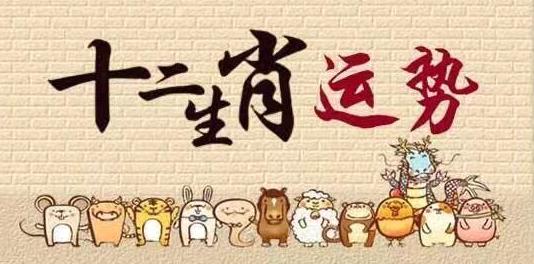 白小姐四肖精选期期准-第3张图片