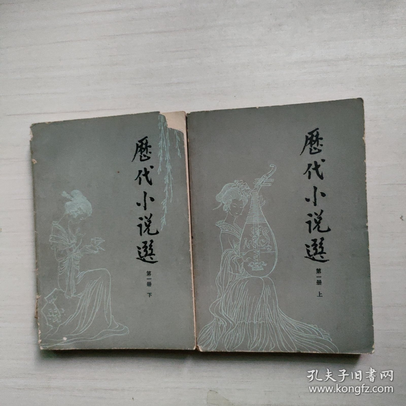 正版资料大全全年2019小说2正版资料大全，全年2019小说精选