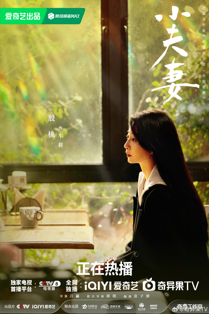 适合夫妻二人一起看的电视剧推荐-第2张图片