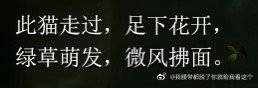 麻豆1区2产品乱码现象揭秘，芒果有限公司的困境
