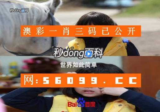最准一肖一码100 澳门最准一肖一码100，澳门彩票解析-第2张图片