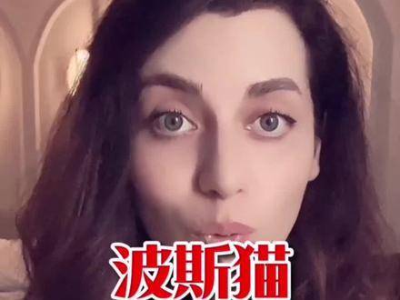 最近中文字幕视频2019年，探索与启示