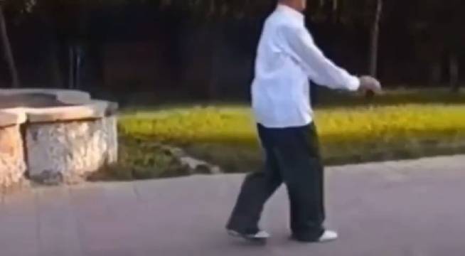 六合拳彩，传统武术的魅力与幸运-第2张图片