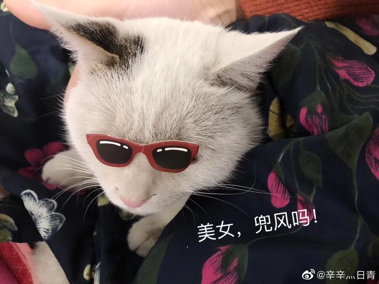 明明说好只在外面蹭蹭的明明说好只在外面蹭蹭，却意外相遇