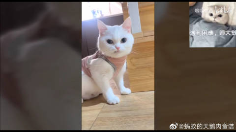 一二三四6免费高清观看视频关键词，一二三四6免费高清观看视频-第1张图片