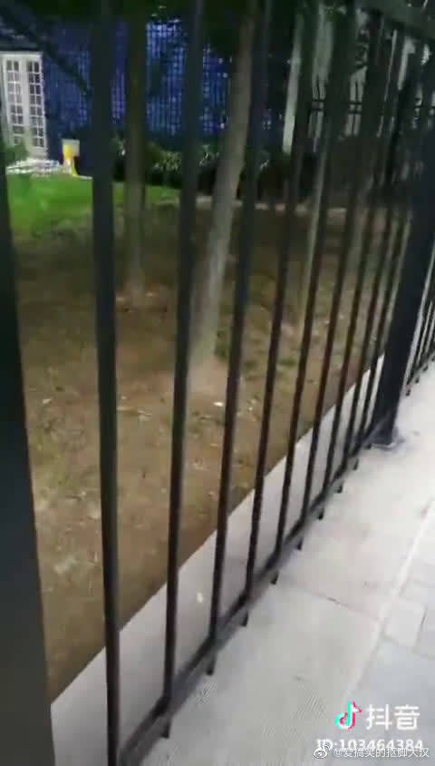 13262cc马会传论坛开奖结果13262CC马会传论坛，聚焦未来赛事与交流平台-第2张图片
