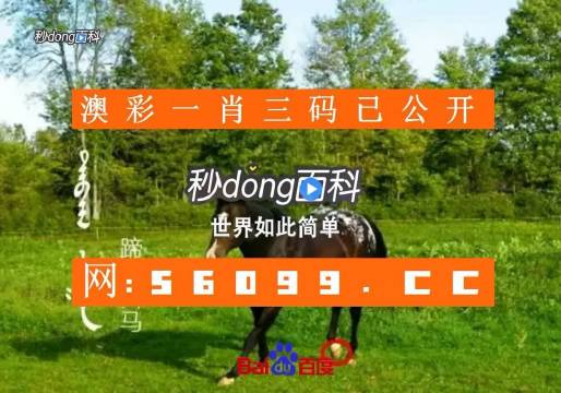 2020年今晚特马资料公开区不收费2021今晚特马免费资料大放送-第3张图片
