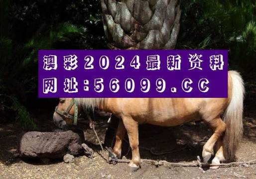 香港正版资料大全-第1张图片
