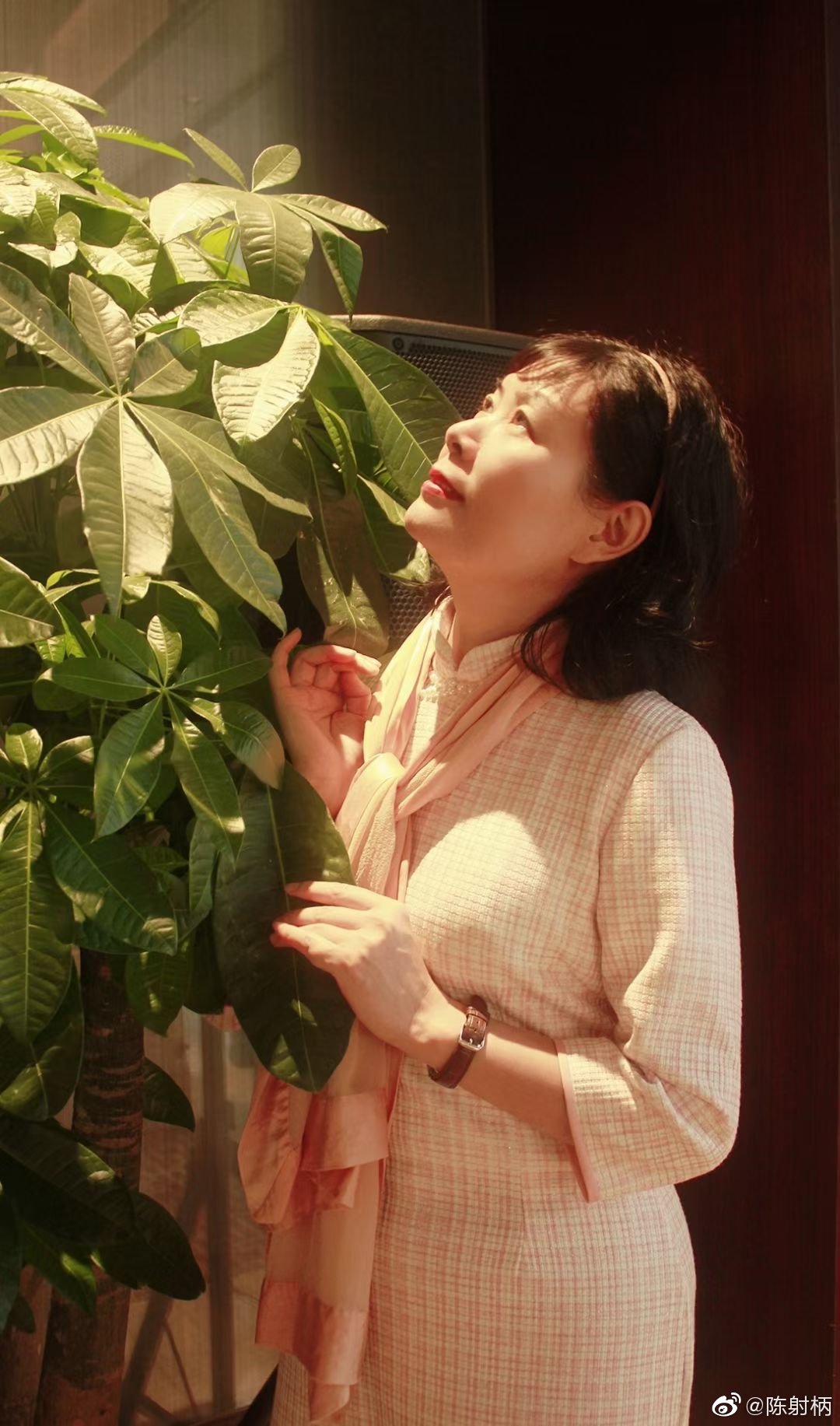 圣爱圣爱，心灵的庇护与指引-第2张图片