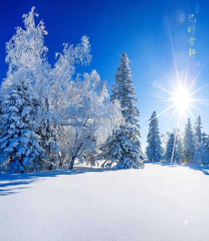 雪白泥之魅力-第2张图片