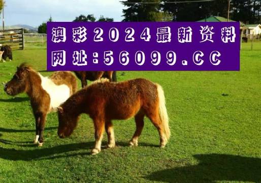 一肖一码100%中奖，澳门黄大仙揭秘