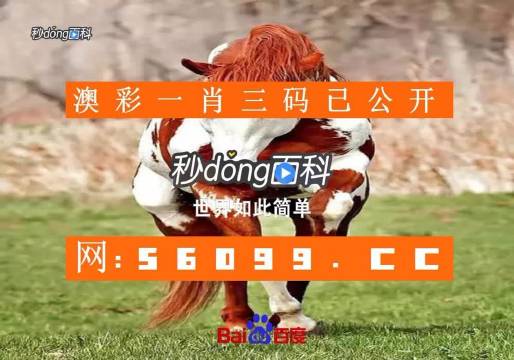 一码一肖100准正版资料，精准预测与实用指南-第3张图片