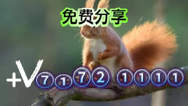 2023澳门开奖结果查询