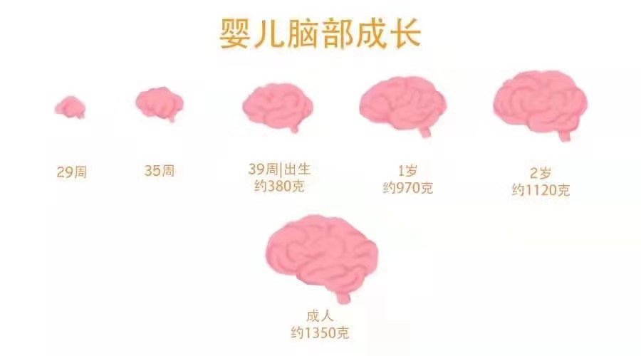 6y7y开奖今晚结果公布6-7岁儿童成长关键期