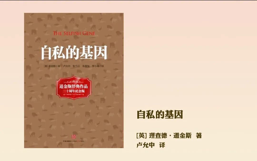 高度戒备，应对未知挑战的智慧-第1张图片