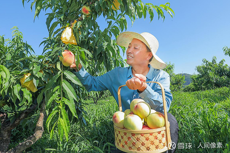 黄瓜草莓香蕉水蜜桃成人黄瓜草莓香蕉水蜜桃成人乐园