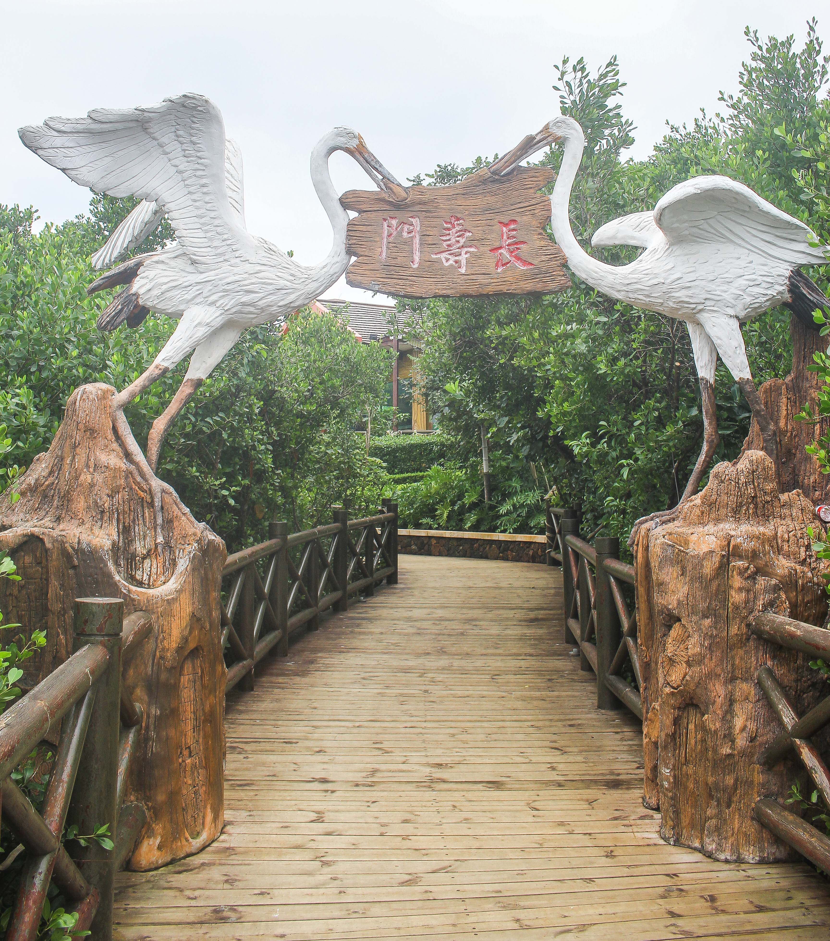 澄迈富力红树湾，自然与人文的完美融合-第3张图片