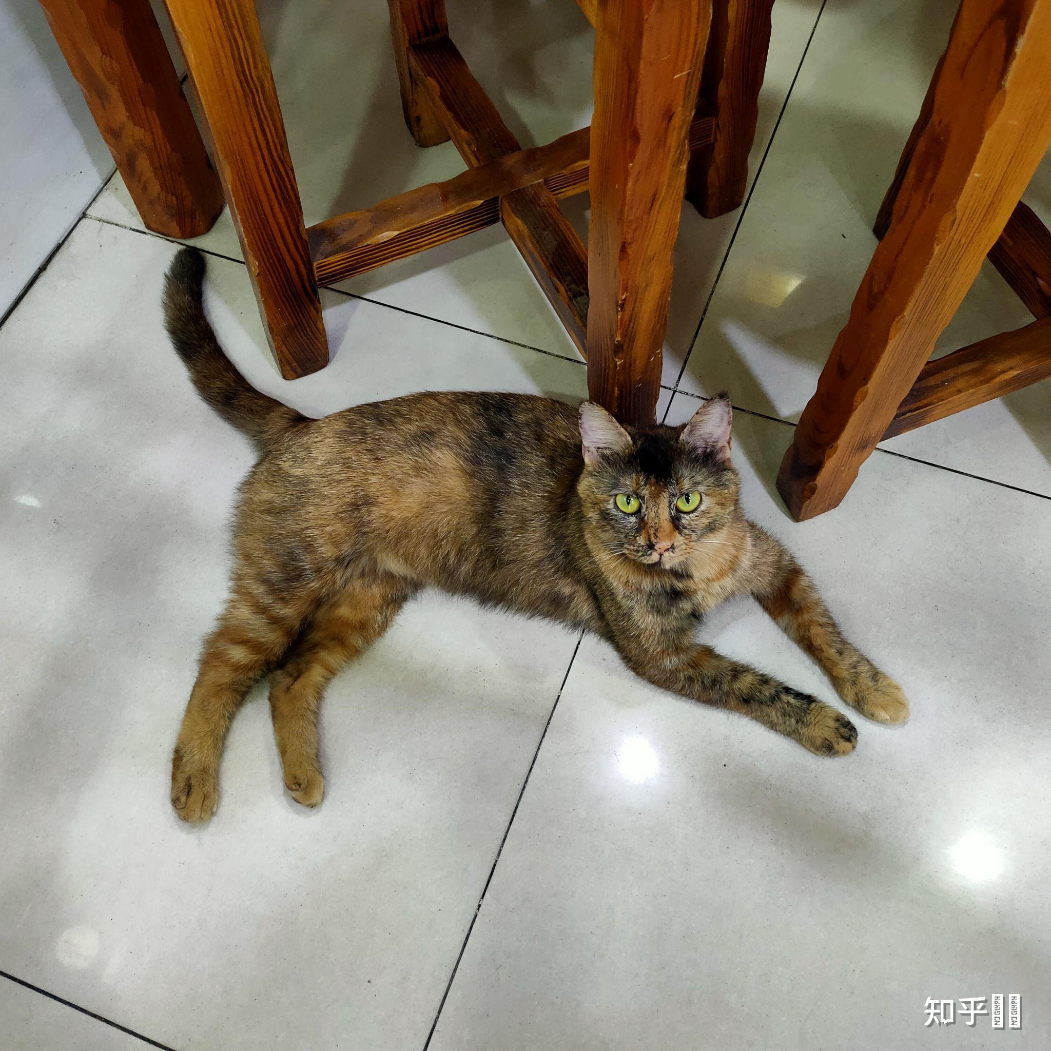 在寝室怎么让室友帮你导管在寝室如何让室友帮忙导管