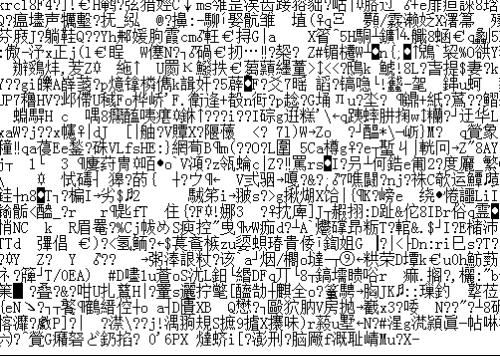韩服天堂1乱码，体验与解析