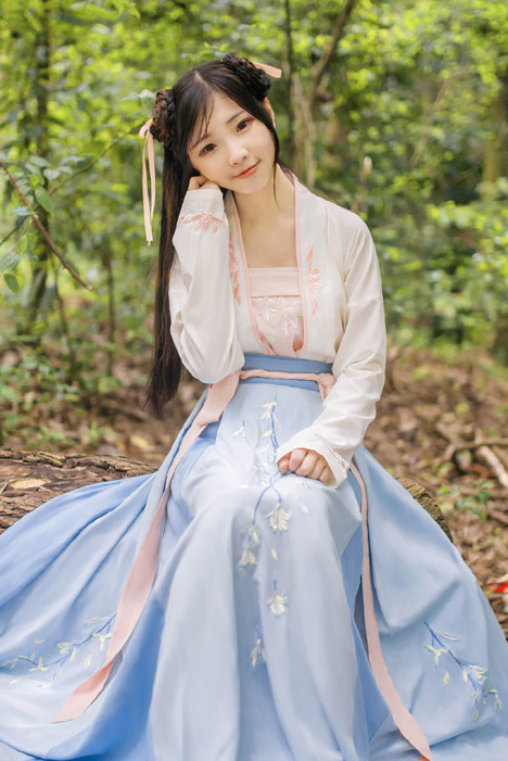 抹胸游戏 汉服女性抹胸开襟哺乳衣游戏，魅力与挑战