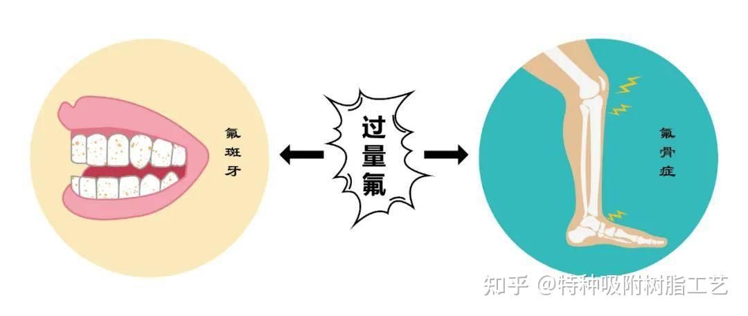 西西人体必不可少的多少种微量元素之一西西人体44RT: 探索网络技术的神秘领域