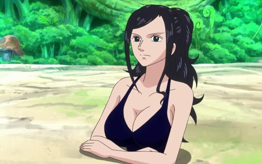 海贼王罗宾与H漫的世界之旅