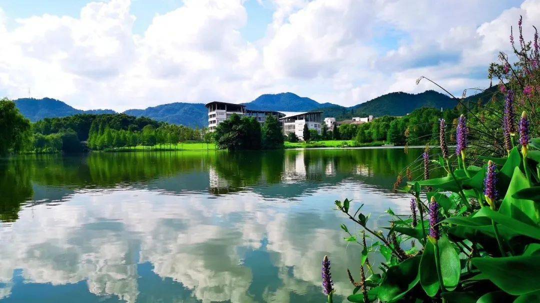 浙江农林大学日记无码浙江农林大学日记无码