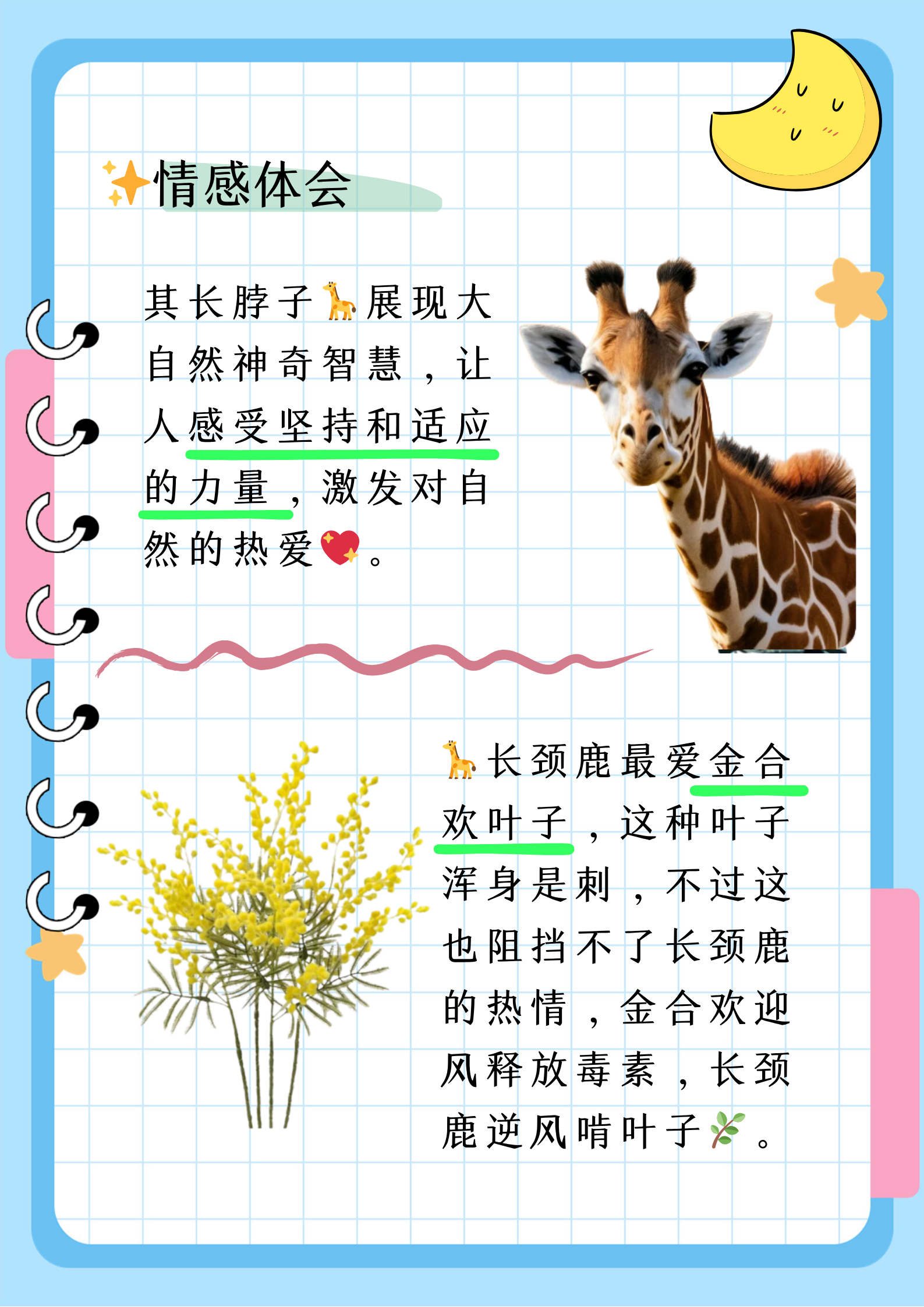 大家好！今天我想和大家分享一些有趣的图片。在我们的日常生活中，图片是一种非常直观、生动的方式，让我们能够更好地理解和感受世界。下面，让我们一起欣赏这些图片吧！