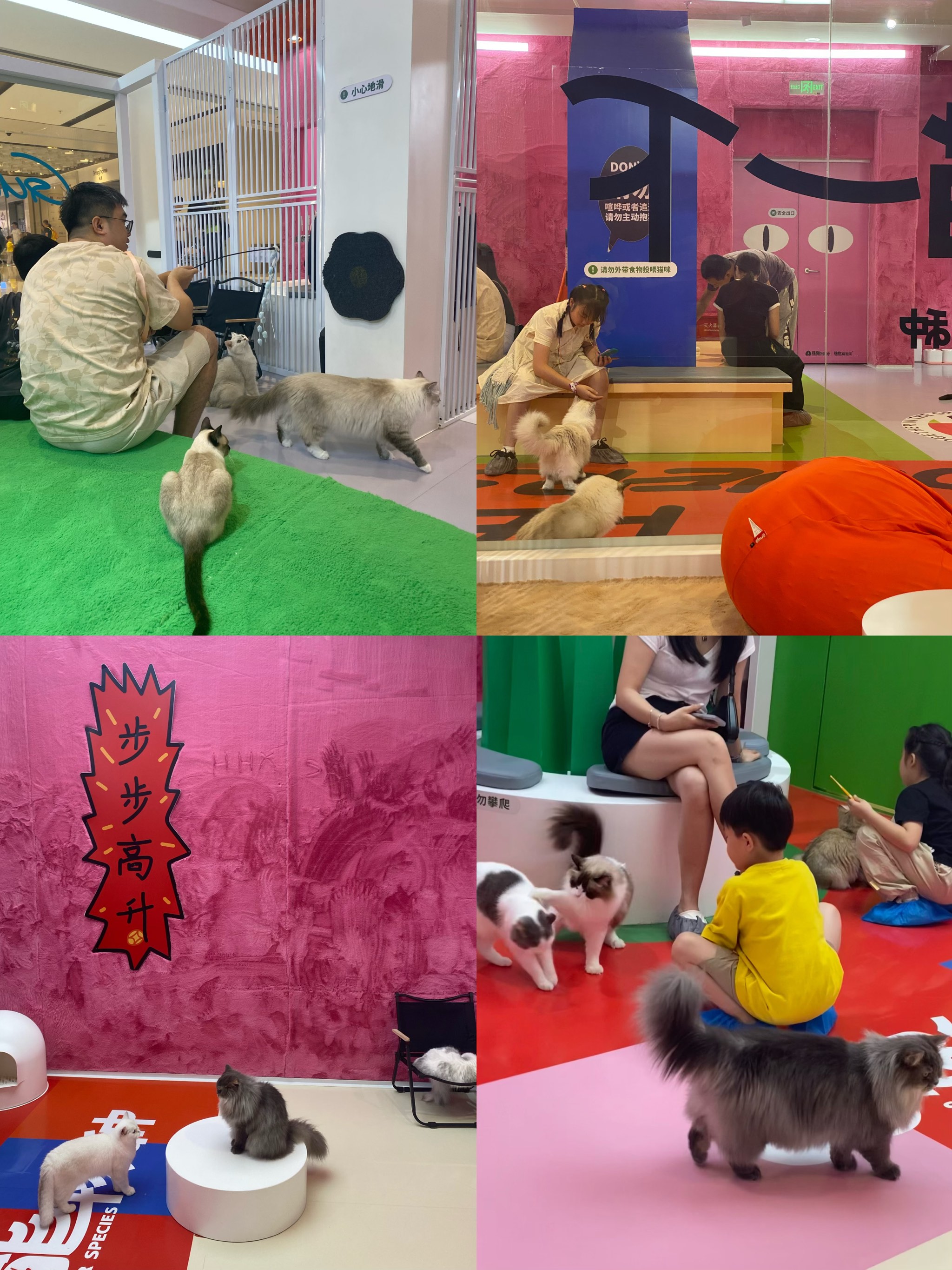 嗯嗯撸影院嗯嗯撸影院，沉浸式观影新体验-第2张图片
