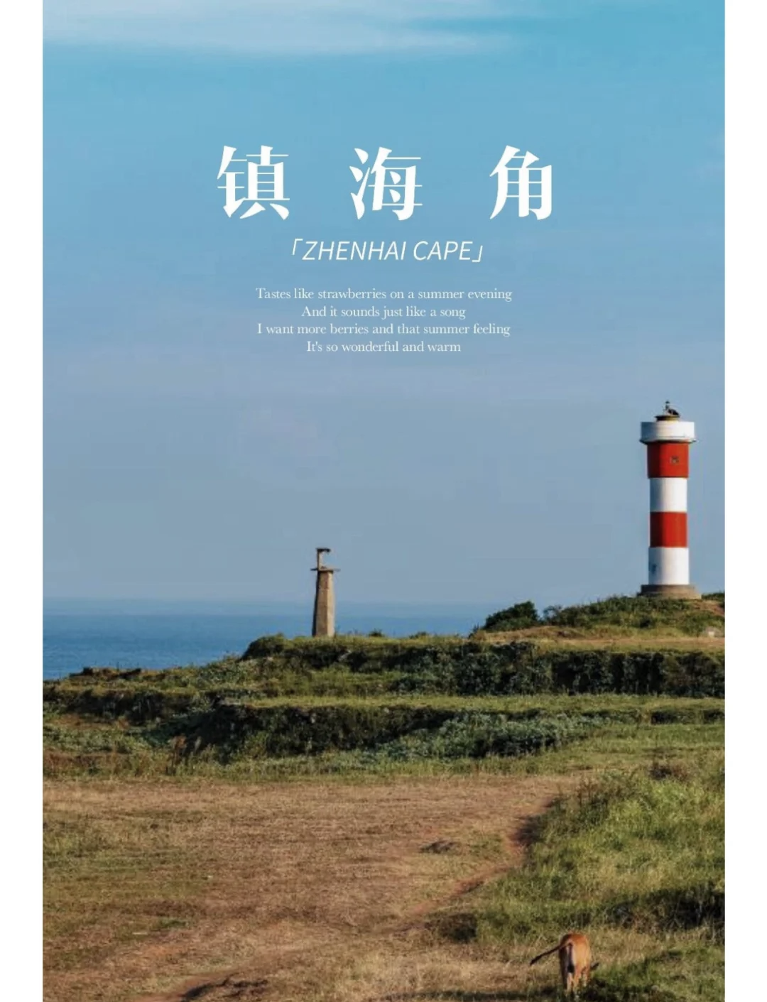 海角社区，社区生活的魅力所在-第3张图片