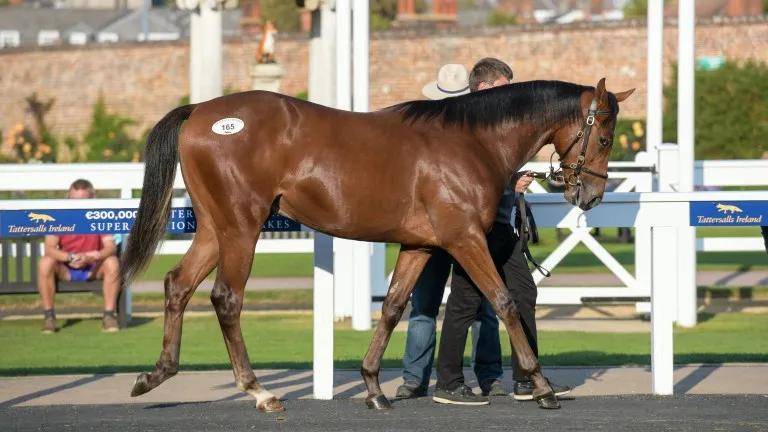 香港赛马会最新消息香港挂牌香港赛马会最新消息-第1张图片