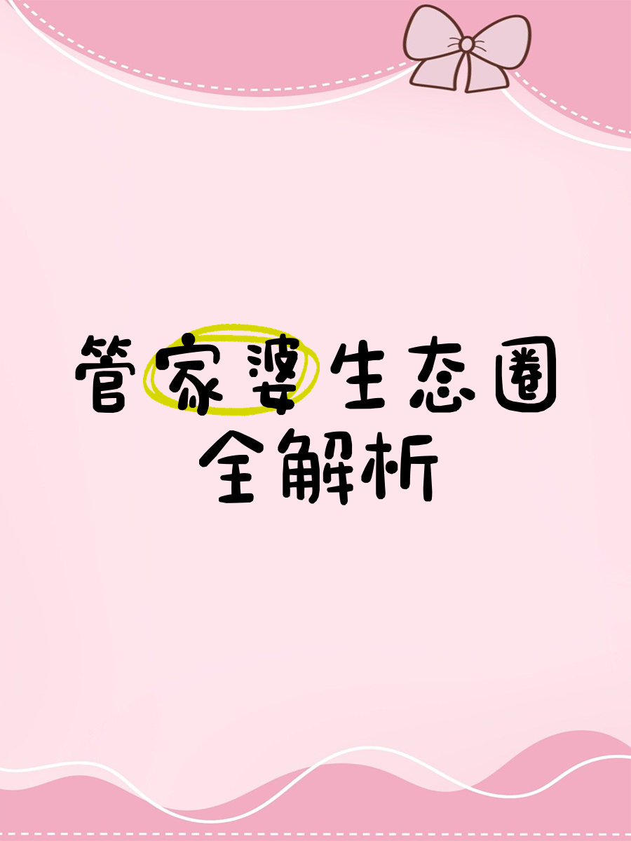 管家婆2023正版资料，全面解析与实用指南-第1张图片