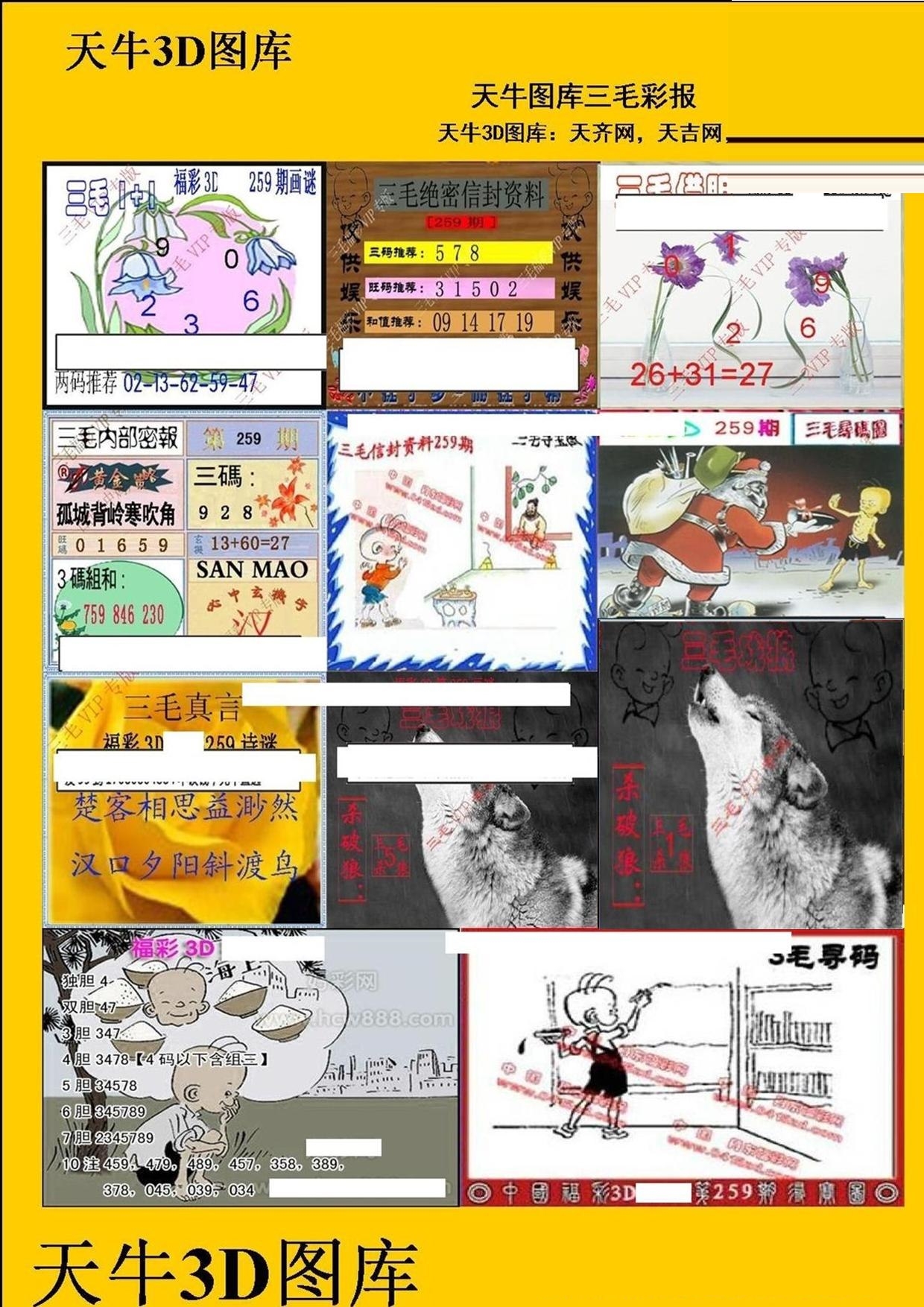 天牛红五图库图天牛红五图库大全-第3张图片