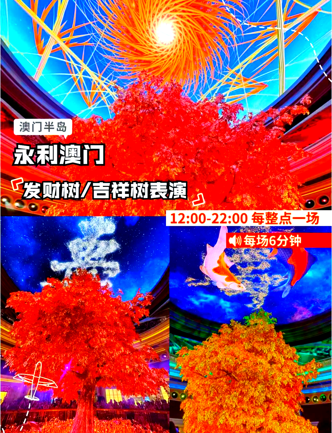 新澳门直播现场开奖直播体验-第3张图片