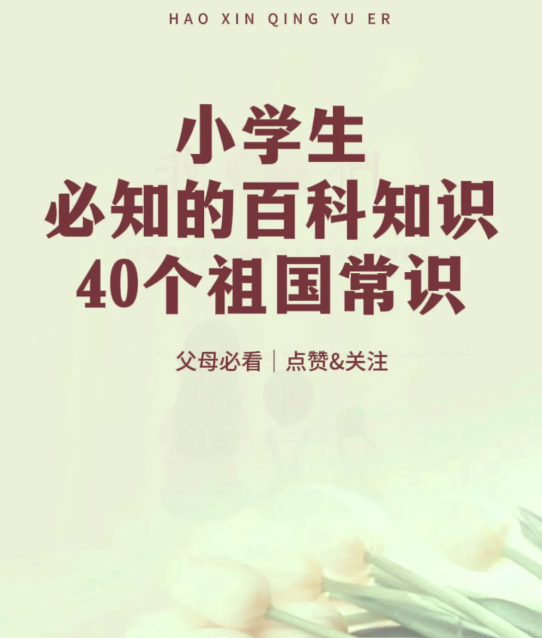 宝典论坛宝典论坛，探索知识宝库的奥秘-第1张图片