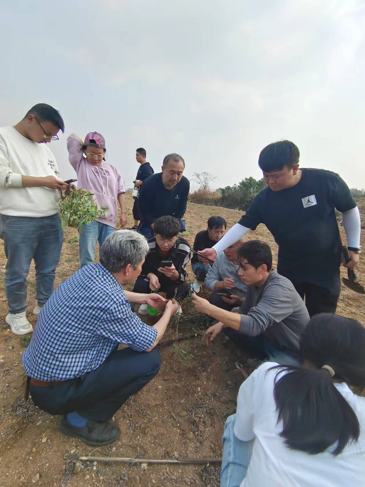采药225采药之旅——探寻神秘225草药