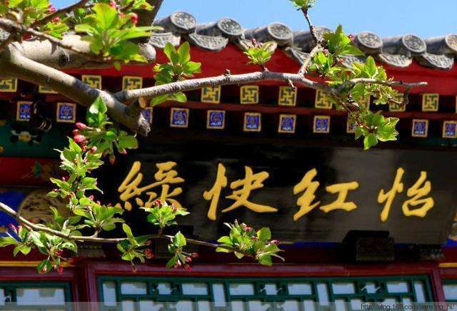怡红院老司机怡红院老司机